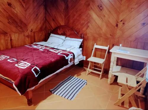 a bedroom with a bed and a desk in a room at Cabañas el paisano in San Mateo Río Hondo