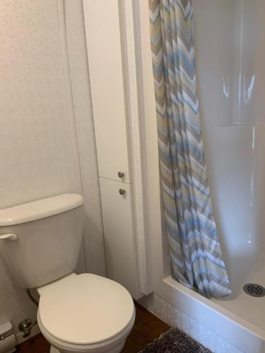 ein Badezimmer mit Toilette und Dusche in der Unterkunft Camping St-Mathieu in Saint Mathieu de Rioux