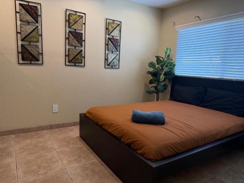 ein Schlafzimmer mit einem Bett mit einem blauen Kissen darauf in der Unterkunft 4 Bedrm 2 Ba Office WiFi Hiking House Central Phx in Phoenix