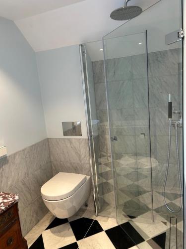 a bathroom with a toilet and a glass shower at Lovely estate with private dock and breathtaking view in Torød