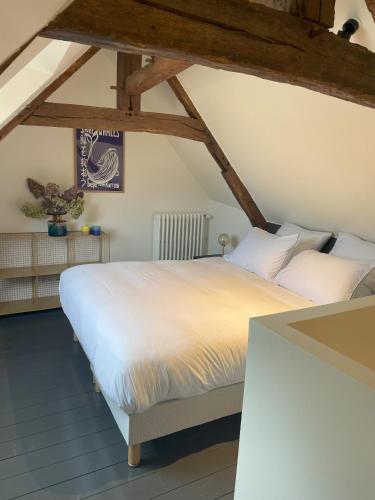 Les Chanoines Bayeux Cathédrale