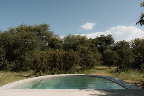 a pool of water in a field with trees at Maroelani Lodge- Greater Kruger Private Reserve in Hoedspruit