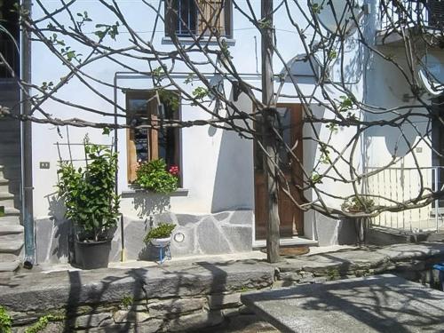 a building with potted plants in front of a window at Il Pergolato in Cannero Riviera