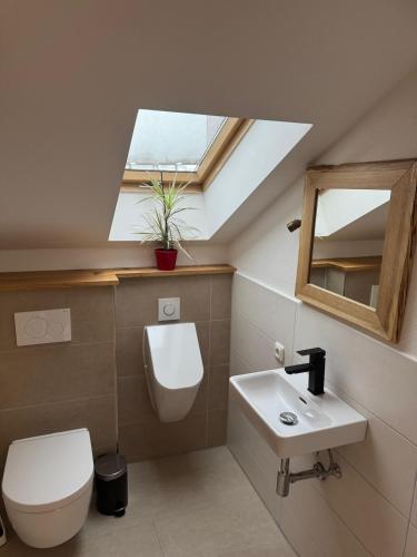 a bathroom with a toilet sink and a skylight at Ferienwohnung Heuboden in Reut