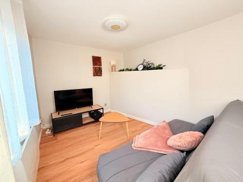 a living room with a couch and a flat screen tv at Duplex Fleckenstein - Centre Historique de Haguenau in Haguenau