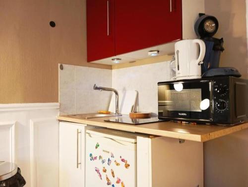 une cuisine avec un four micro-ondes sur un comptoir dans l'établissement 520 grand studio en hypercentre, à Reims