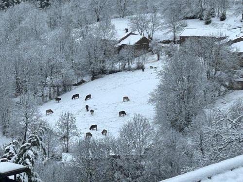 a group of animals grazing in a snow covered field at Casa Rural Pirineu Nevà in Nevà