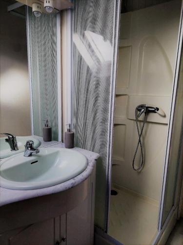 une salle de bain avec un lavabo et une douche dans l'établissement Ty Moutik - Bourg a pied et route des plages, à Fouesnant