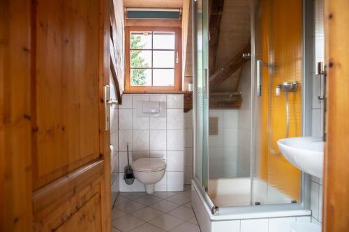 a bathroom with a toilet and a sink and a window at Bioweingut und Ferienwohnung Kaufmann in Efringen-Kirchen