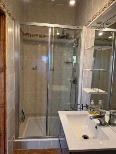 une salle de bain avec une douche et un lavabo et une douche dans l'établissement T2 Climatise sur le BASSIN D ARCACHON, à Gujan-Mestras