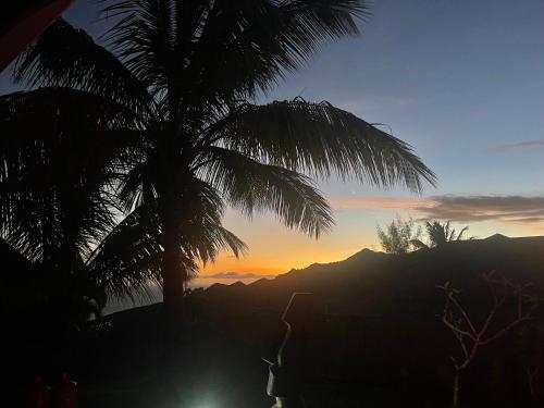a palm tree with the sunset in the background at Villa Scarlett, luxueuse villa vue mer 5 étoiles in Trois-Rivières
