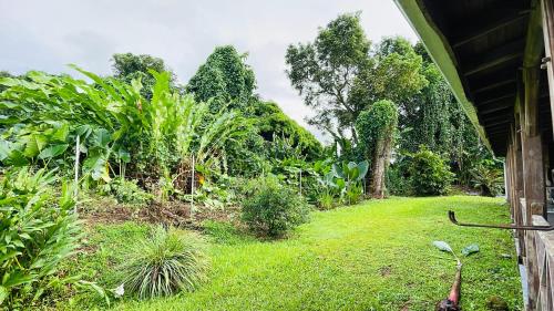 a garden with plants and trees and a house at Villa Scarlett, luxueuse villa vue mer 5 étoiles in Trois-Rivières
