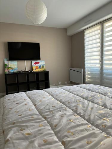 une chambre avec un grand lit et une télévision à écran plat dans l'établissement les pieds dans l'eau, à Royan