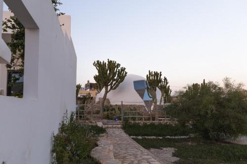 a house with a stone walkway with trees and a fence at DAV MAHAL Eco lodge in Sidi Kaouki