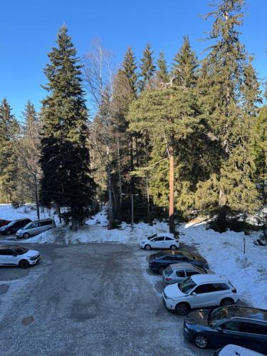 a group of cars parked in a parking lot in the snow at Borovets Gardens MVS Apart D42 in Borovets