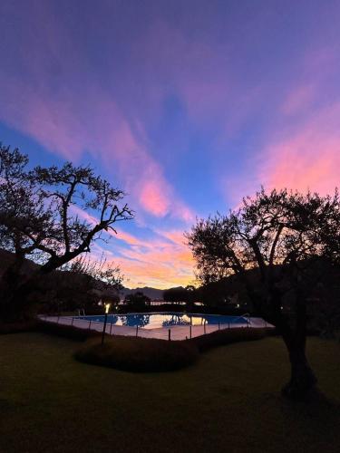 a sunset over a body of water with two trees at Ulivi Hotel & Residence in Paratico