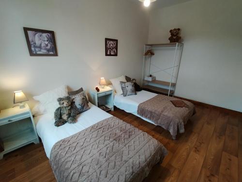 - une chambre avec 2 lits et un ours en peluche assis sur le lit dans l'établissement Le Pavin confort - Résidence de Michèle Murol, à Murol