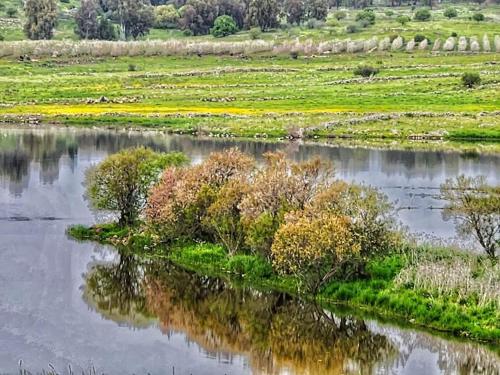 Landskap semula jadi dekat dengan rumah percutian
