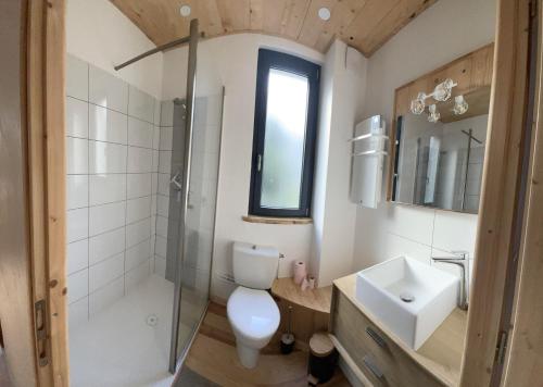 un bagno con WC, doccia e lavandino di Superbe appartement a Le Mont-Dore