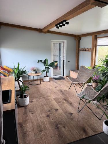 a living room with chairs and potted plants at Zeltāres in Jelgava