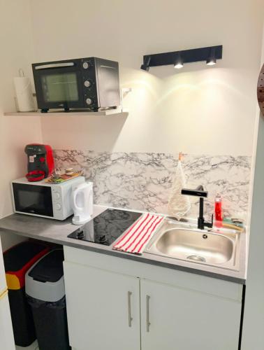 une cuisine avec un évier et un micro-ondes dans l'établissement Charmant Studio La Ville Du Bois, à La Ville-du-Bois