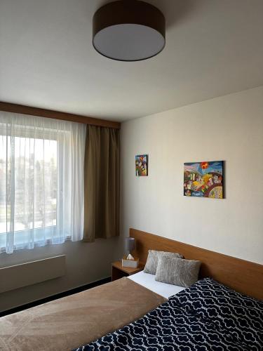a bedroom with a bed and a window at U Zámečku 108 in Kyjov