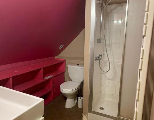 une petite salle de bain avec toilettes et douche dans l'établissement Les maisons d'en haut & Piscine à débordement chauffée, à Saint-Rémy