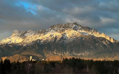ホテルから撮影された、または一般的な山の景色