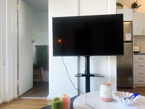 Μια τηλεόραση ή/και κέντρο ψυχαγωγίας στο Cozy Studio in Central Glebe