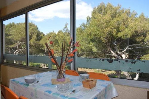 NP200-312 Appartement 1 chambre et cabine Narbonne Plage