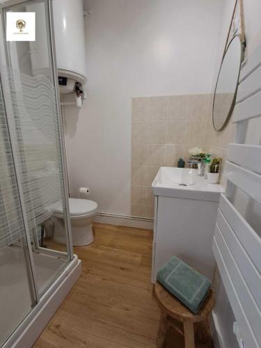 une salle de bain avec une douche, un lavabo et des toilettes dans l'établissement Charmante Maisonnette Rénovée - 5 min d'Argenton Sur Creuse, à Chabenet