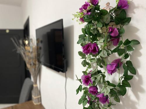 a bunch of purple flowers hanging on a wall at Sea Breeze Retreat - Comfort Apartments in the Heart of Sliema in Sliema