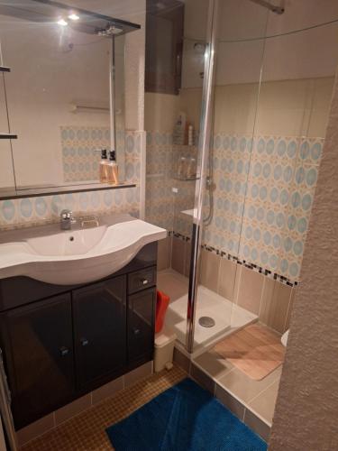 une salle de bain avec un lavabo et une douche dans l'établissement Appartement St Lary Soulan village - Classé 3 étoiles et labelisé - WIFI inclus, à Saint-Lary-Soulan