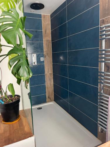 une douche avec un mur carrelé bleu et une plante dans l'établissement Maison mitoyenne avec jardin à Biarritz, à Arcangues