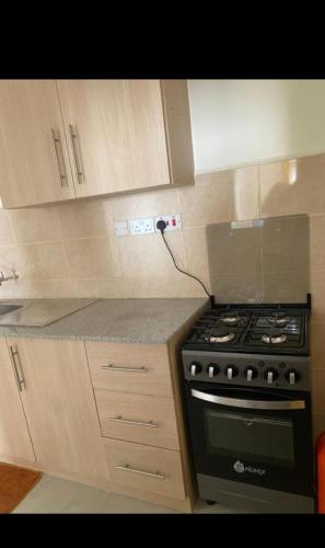 Kuchyň nebo kuchyňský kout v ubytování Olive stylish stay 04