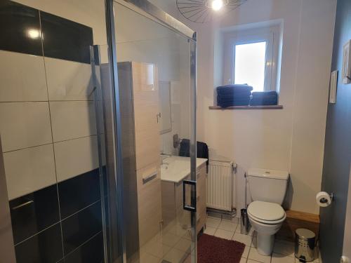 une salle de bain avec toilettes et douche en verre dans l'établissement Chez Carine et Jonathan, à Gérardmer