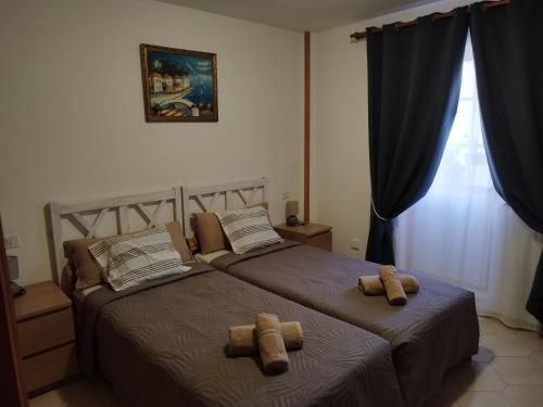 Cozy apartment near the ocean
