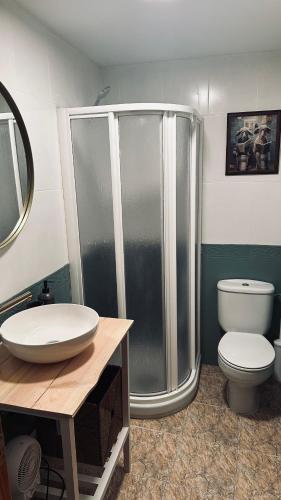 a bathroom with a shower and a toilet and a sink at Veratha House in Candeleda