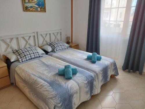Cozy apartment near the ocean
