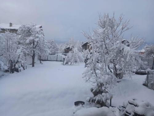 a yard covered in snow with a tree at Guest House Raffe in Dobrinishte