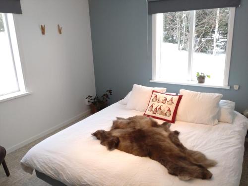 a dog laying on a bed in a bedroom at Åbergs Gård - BnB Orsa Åberga in Kallmora