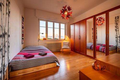 Large apartment in Strasbourg