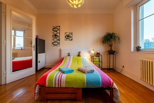 Large apartment in Strasbourg