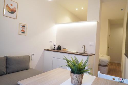 een keuken met een wastafel en een tafel met een plant bij CH 5Torres in Madrid