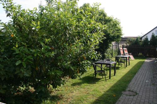 a table and chairs next to an apple tree at Ferienwohnungen Haus Mecklenburg in Elmenhorst