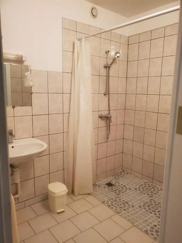une salle de bain avec une douche, des toilettes et un lavabo dans l'établissement Maison spacieuse près du centre équestre, à Anché