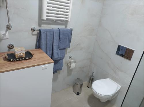 Ένα μπάνιο στο Apartman Bianca Divcibare Kota 992