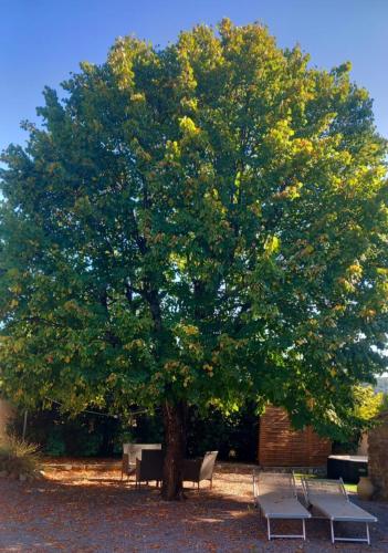 Gite le Tilleul Vallon pont d'Arc