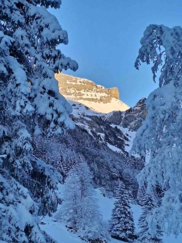 a mountain covered in snow with trees in the foreground at Ruhig und Zentral in Unterschächen