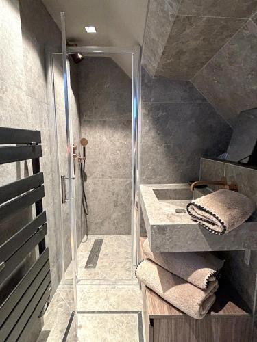 une douche avec une porte vitrée dans une salle de bain dans l'établissement Le Loft Tour Eiffel, à Paris